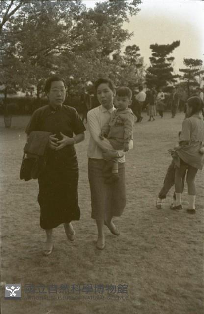 1950至2006年臺灣常民生活藏品圖，第1張