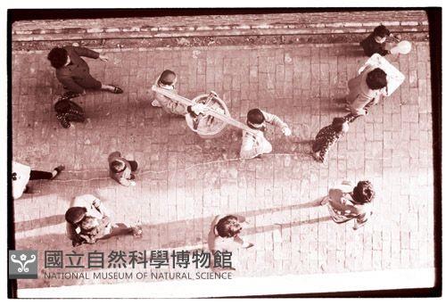 1950至2006年臺灣常民生活藏品圖，第1張