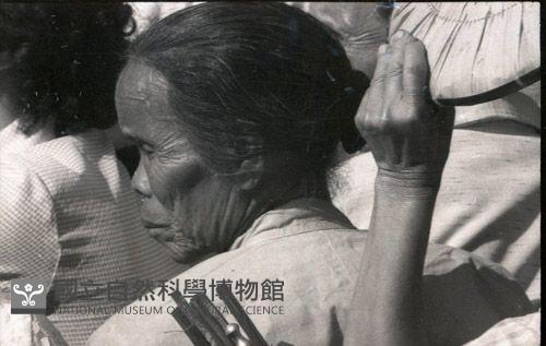 1950至2006年臺灣常民生活藏品圖，第1張