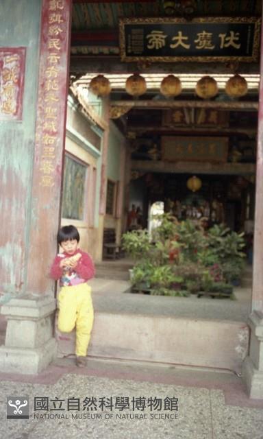 1950至2006年臺灣常民生活藏品圖，第1張