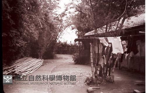 1950至2006年臺灣常民生活藏品圖，第1張
