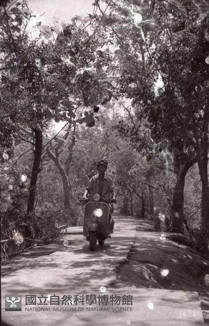 1950至2006年台灣常民生活藏品圖，第1張