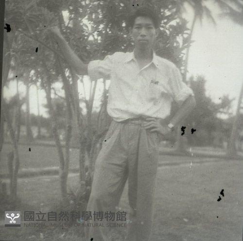 1950至2006年臺灣常民生活藏品圖，第1張