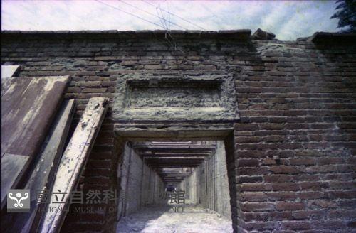 1950至2006年臺灣常民生活藏品圖，第1張