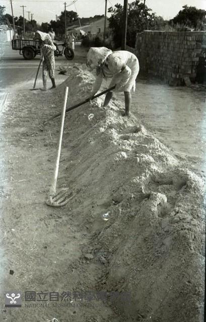 1950至2006年臺灣常民生活藏品圖，第1張