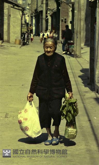 1950至2006年臺灣常民生活藏品圖，第1張