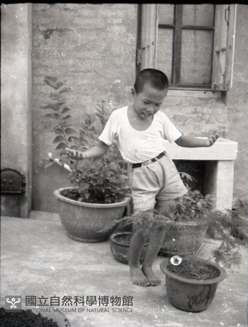1950至2006年台灣常民生活藏品圖，第1張