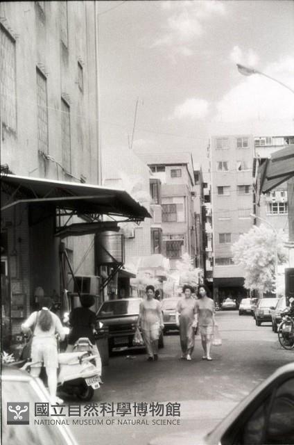 1950至2006年臺灣常民生活藏品圖，第1張