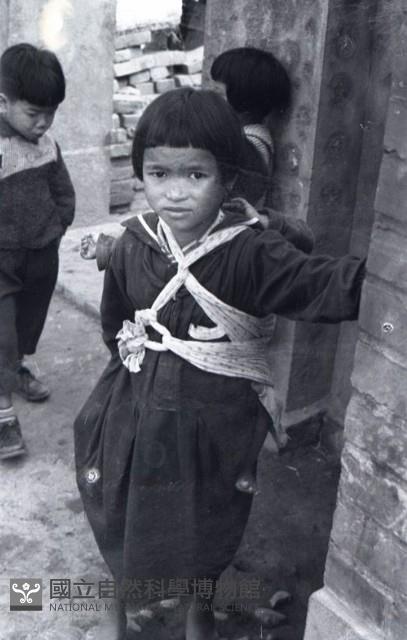 1950至2006年臺灣常民生活藏品圖，第1張