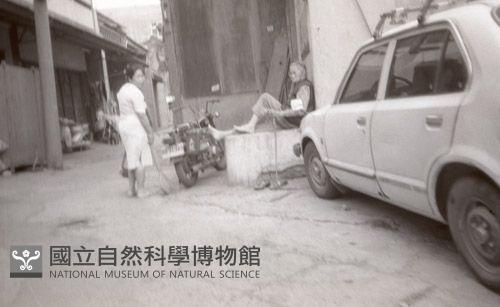 1950至2006年臺灣常民生活藏品圖，第1張