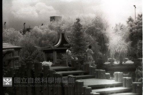 1950至2006年臺灣常民生活藏品圖，第1張