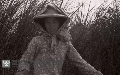 1950至2006年臺灣常民生活 藏品圖，第1張