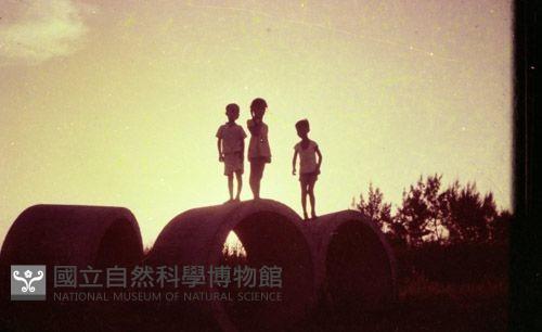 1950至2006年臺灣常民生活藏品圖，第1張