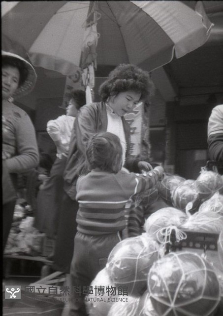 1950至2006年臺灣常民生活藏品圖，第1張