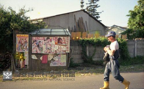 1950至2006年臺灣常民生活藏品圖，第1張