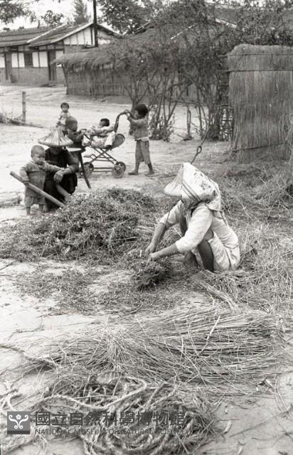 1950至2006年臺灣常民生活藏品圖，第1張