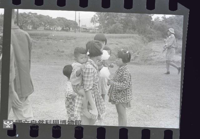 1950至2006年臺灣常民生活藏品圖，第1張