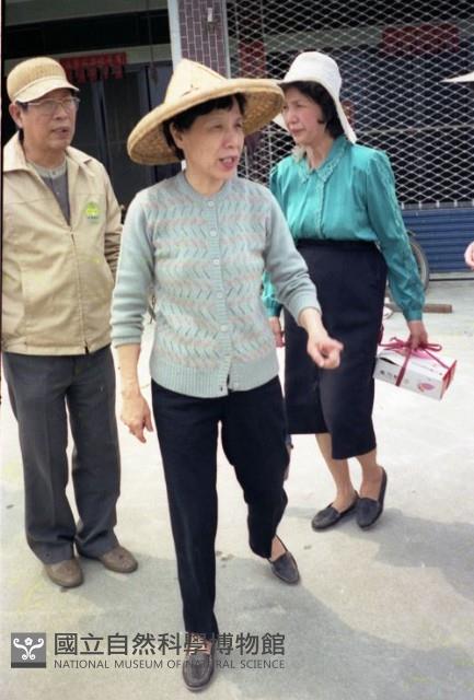 1950至2006年臺灣常民生活藏品圖，第1張