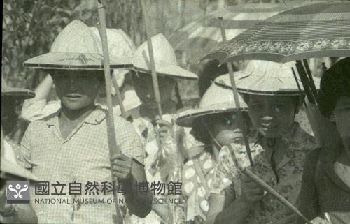 1950至2006年臺灣常民生活藏品圖，第1張