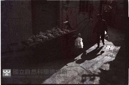 1950至2006年臺灣常民生活藏品圖，第1張