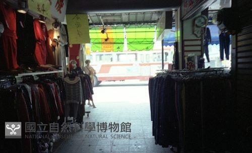 1950至2006年臺灣常民生活藏品圖，第1張