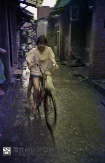 1950至2006年臺灣常民生活藏品圖，第1張