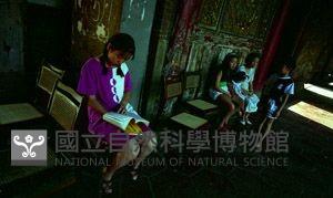 1950至2006年臺灣常民生活藏品圖，第1張