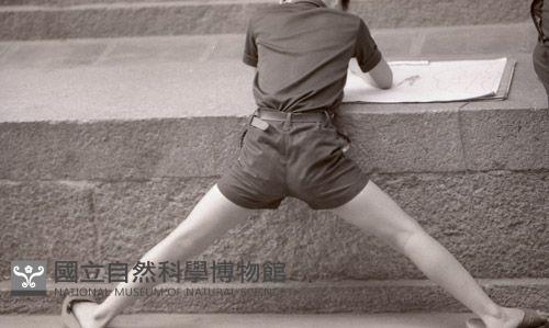 1950至2006年臺灣常民生活藏品圖，第1張