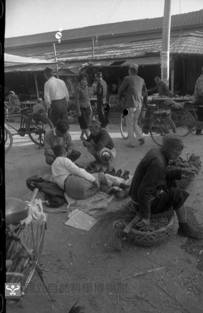 1950至2006年臺灣常民生活藏品圖，第1張