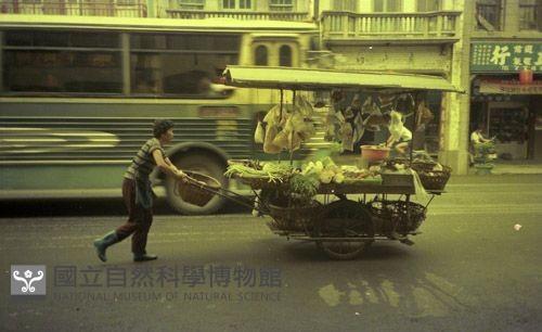 1950至2006年臺灣常民生活藏品圖，第1張