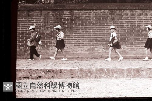 1950至2006年臺灣常民生活藏品圖，第1張