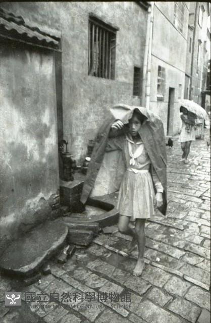 1950至2006年臺灣常民生活藏品圖，第1張