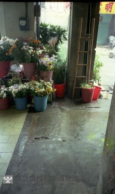 1950至2006年臺灣常民生活藏品圖，第1張