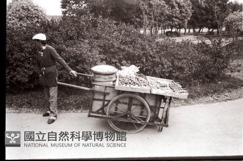 1950至2006年臺灣常民生活藏品圖，第1張