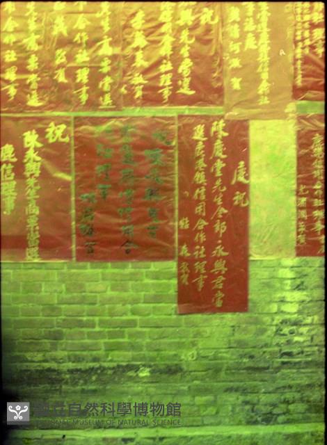 Accession Number:MP2007012350 Collection Image