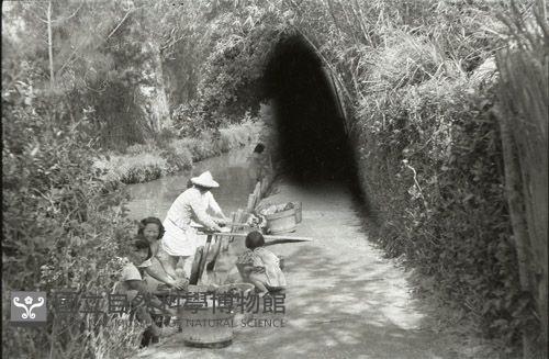 1950至2006年臺灣常民生活藏品圖，第1張