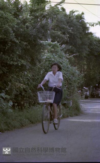 1950至2006年臺灣常民生活藏品圖，第1張