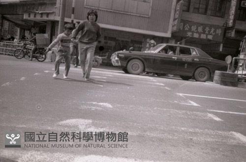 1950至2006年臺灣常民生活藏品圖，第1張
