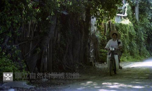 1950至2006年臺灣常民生活藏品圖，第1張