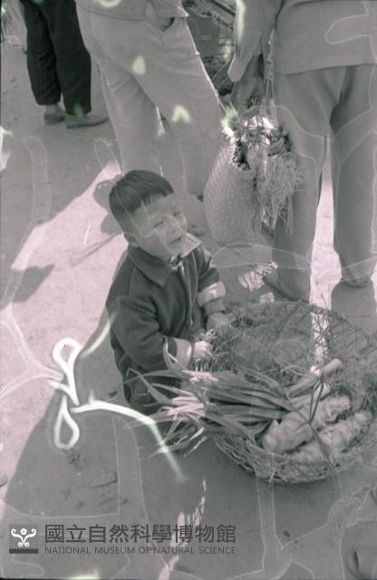 1950至2006年臺灣常民生活藏品圖，第1張