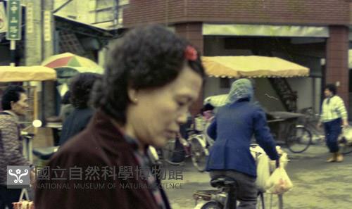 1950至2006年臺灣常民生活藏品圖，第1張