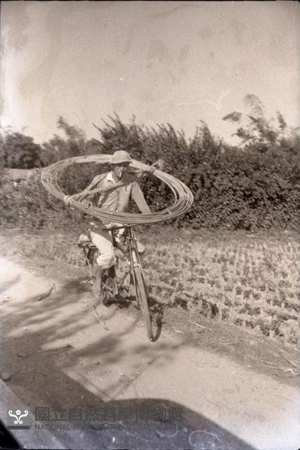 1950至2006年臺灣常民生活藏品圖，第1張