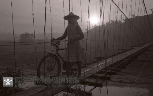 1950至2006年臺灣常民生活藏品圖，第1張