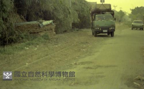 1950至2006年臺灣常民生活藏品圖，第1張