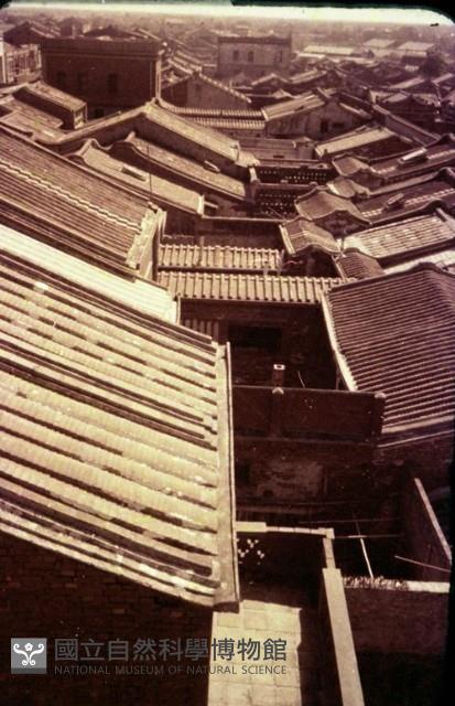 1950至2006年臺灣常民生活藏品圖，第1張