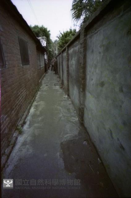 1950至2006年臺灣常民生活藏品圖，第1張
