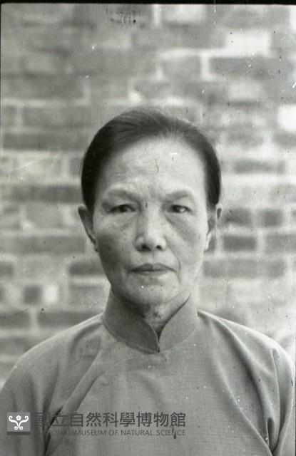 1950至2006年臺灣常民生活藏品圖，第1張