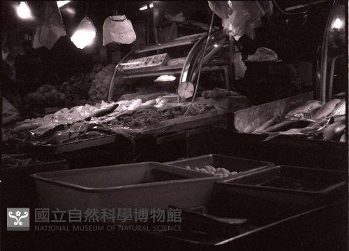 1950至2006年臺灣常民生活藏品圖，第1張