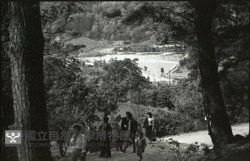 1950至2006年臺灣常民生活藏品圖，第1張