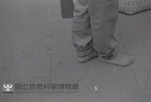 1950至2006年臺灣常民生活藏品圖，第1張